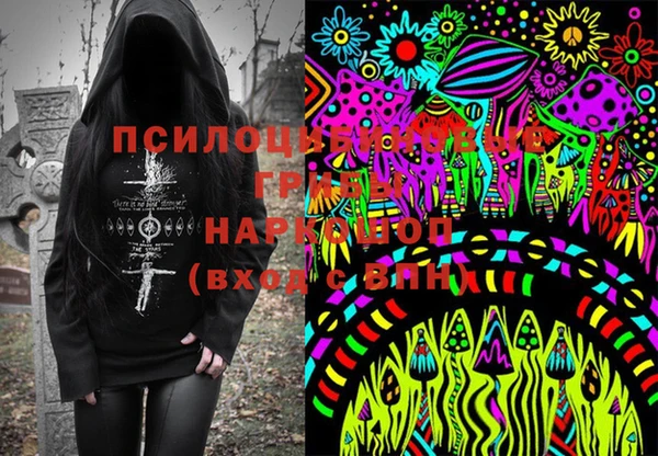 ПСИЛОЦИБИНОВЫЕ ГРИБЫ Абаза