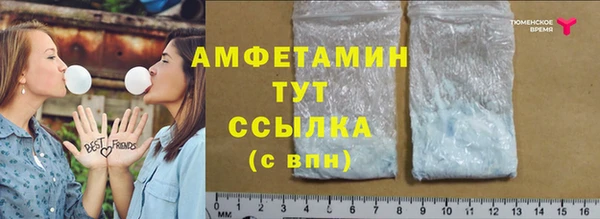 ПСИЛОЦИБИНОВЫЕ ГРИБЫ Абаза