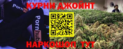 дживик Можга