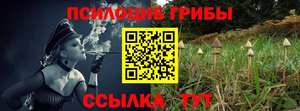 Галлюциногенные грибы Psilocybe Тюмень